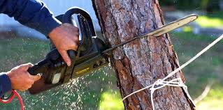 Reliable Mobile, AL Tree Care Solutions